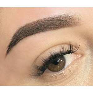 Maquillage permanent des Sourcils (effet ombré)